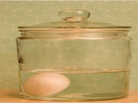 دیدن از درون تخم مرغ