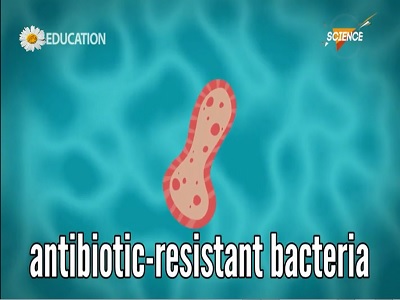 باکتری ها و آنتی باکتری ها